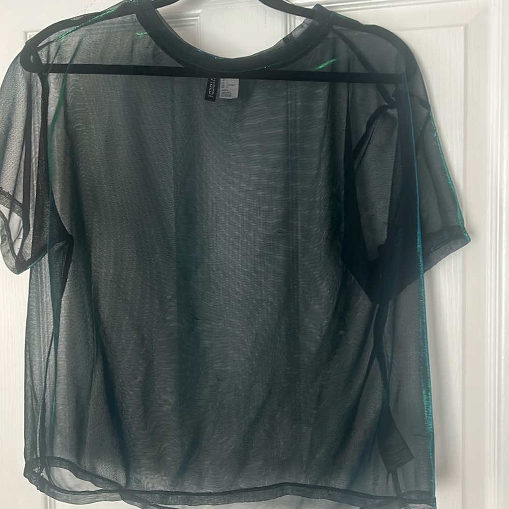 Sheer Metallic Top.